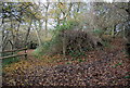 Footpath junction on the North Downs Way