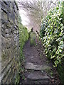 Footpath running alongside Hutton Hall Farm - Greentop