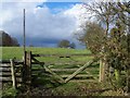 Footpath Up Cromer Hill