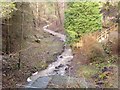 The brook running from Cefn Mawr to Canal Road, Newtown