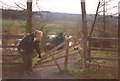 Houghall Discovery Trail footpath gate which when closed forms a section of post and rail fencing (1992)