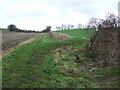 Footpath In The Valley