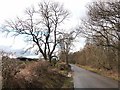 Country road near Kirkley West Farm