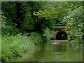 Worcester and Birmingham Canal approaching Shortwood Tunnel