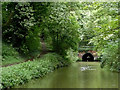 Worcester and Birmingham Canal approaching Shortwood Tunnel