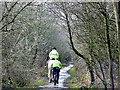 Reivers Cycle Route, Darras Hall