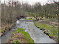 River Medlock at Fairbottom