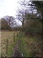 TM3674 : Footpath to Walpole Old Hall & The Clink by Geographer