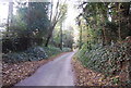 Castle Hill descending to Thurnham