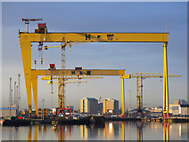 J3575 : The most famous cranes in Belfast by Rossographer