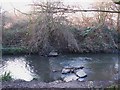 (The remains of) stepping stones on the Pool River east of Riverview Park, SE6