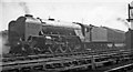 Thompson Class A2 Pacific at Grantham Locomotive Depot