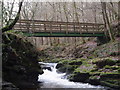 Pontdroed Afon Cletwr Footbridge