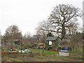 The Tugmutton Allotments, Locksbottom