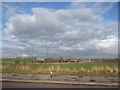 SE3810 : Big fields, big clouds by Christine Johnstone