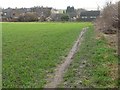 Informal footpath to Brier Lane