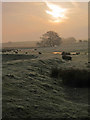 TQ8217 : Sunrise by the River Brede by Oast House Archive