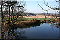 Pond at Cairnton