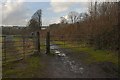 Footpath to Dean Wood