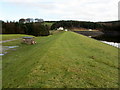 Embankment above Elslack Reservoir