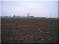 Farmland near North Airmyn Grange