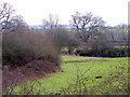 Small fields near Bourton