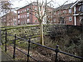 Footbridge over the feeder