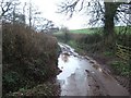 Lane at Holbrook Bridge