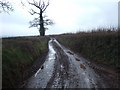 SX9991 : Muddy road near Holbrook Farm by David Smith