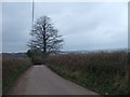 Bishops Court Lane approaching Clyst St Mary