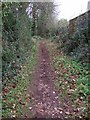 Bridleway near The Willows