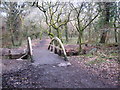 Footbridge over the stream in Godolphin Woods