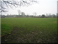 Grazing land, Rawcliffe