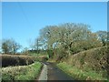 Road to Ashclyst Forest