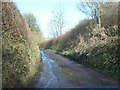 Road to Ashclyst Forest