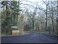 Forest road to forestry cottages