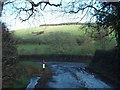 A very damp road joining New Road, near Caddihoe