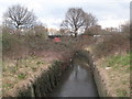 The Pool River north of Southend Lane (10)