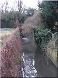 TQ3671 : The Pool River south of Southend Lane by Mike Quinn