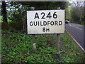 Pre-Worboys road sign Effingham