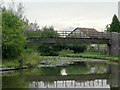 Bridge No 64A north of Alvechurch, Worcestershire