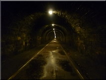 NT2772 : Inside the Innocent Railway Tunnel by kim traynor