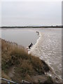 Severn Bore north of Newnham