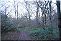 Vinters Valley Nature Reserve - woodland