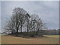 Farmland by the River Devon