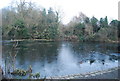 Vinters Valley Nature Reserve - frozen lake