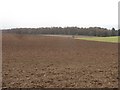 Ploughed field near Stanley