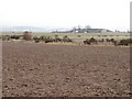 Ploughed field