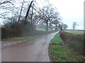 Road to Brampford Speke from Fortescue Cross