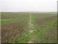 Footpath to Acol Hill Farm